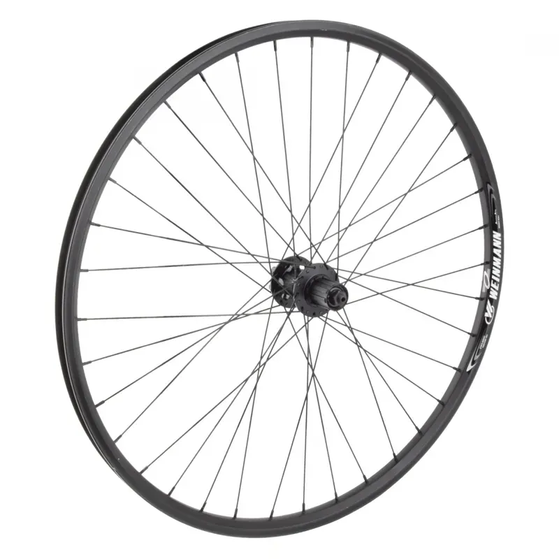 Wheel Master 29-iunch 622x21mm Alloy MTB Disk Rear Wheel in Black