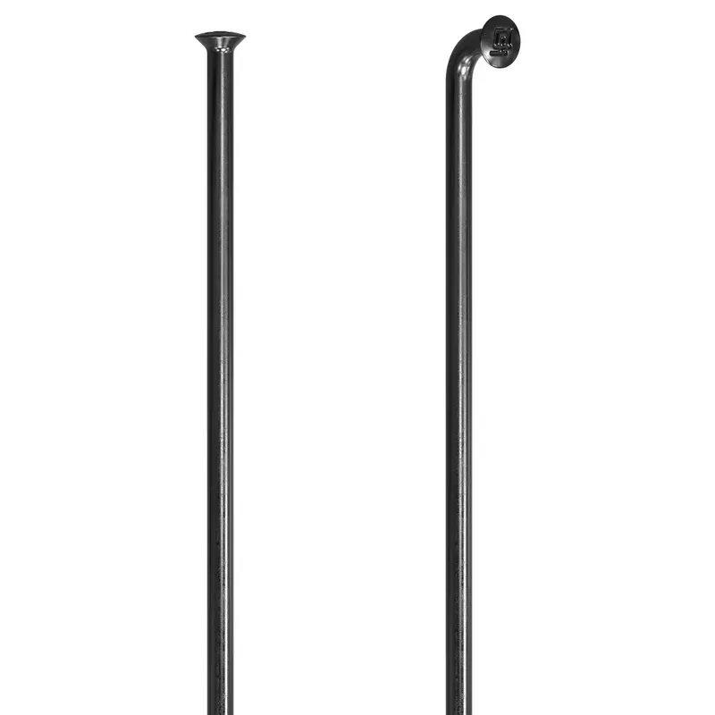 DT Swiss Champion Straight-pull 2.0/296mm Spoke 100-box in Black